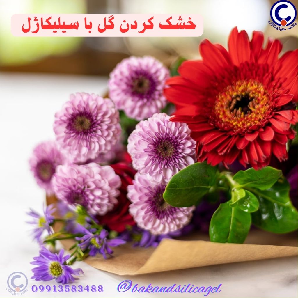 خشک کردن گل‌های ولنتاین با سیلیکاژل گل باکند!  - باکند سیلیکاژل